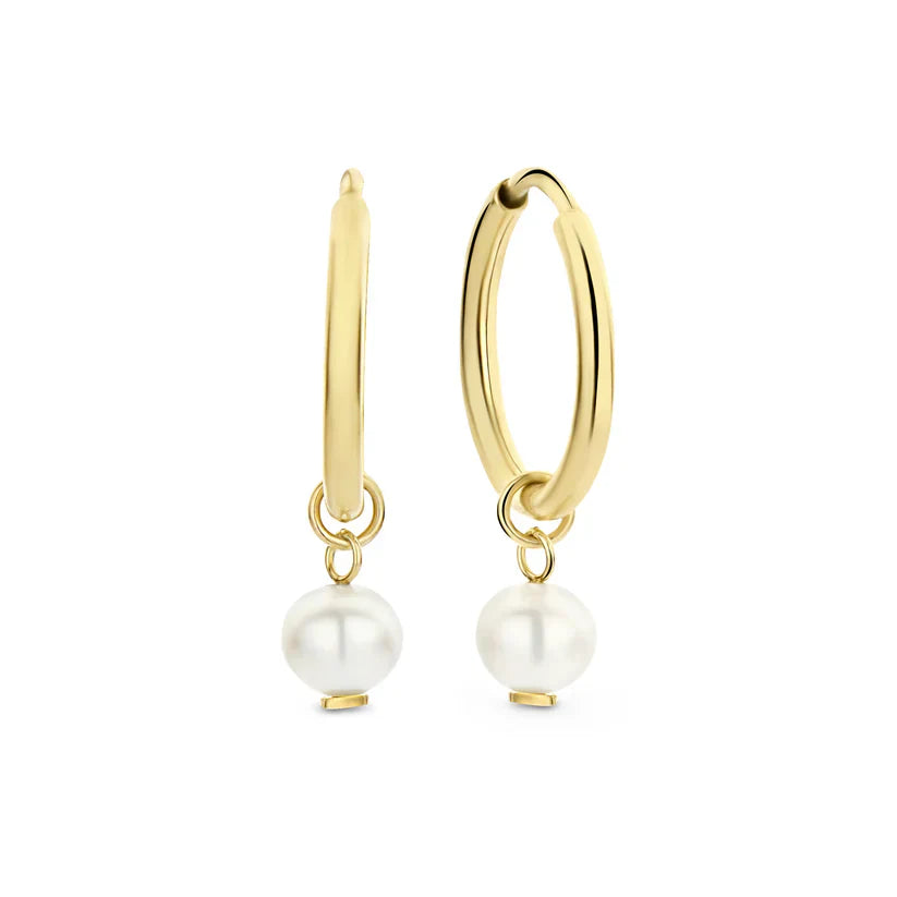 Delia Crest Earrings | Golden