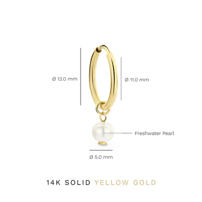 Delia Crest Earrings | Golden